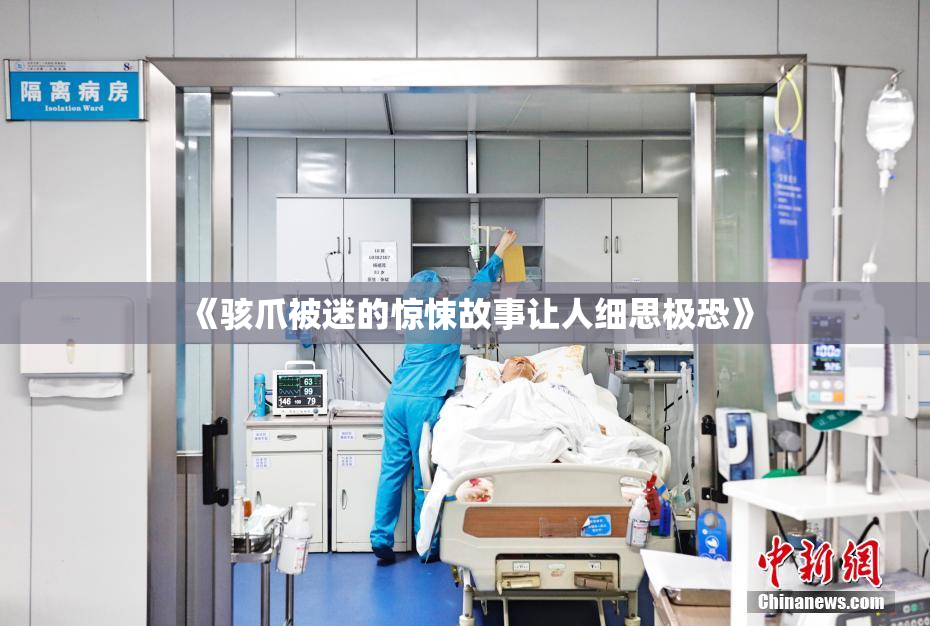 《骇爪被迷的惊悚故事让人细思极恐》