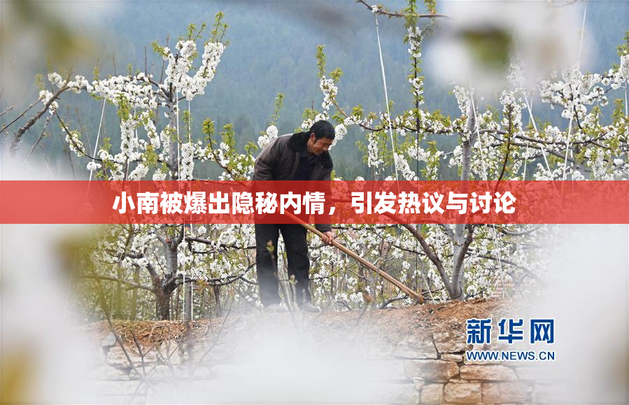 小南被爆出隐秘内情，引发热议与讨论