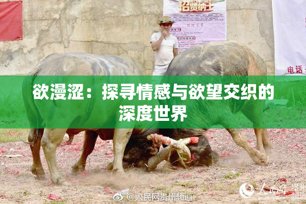 欲漫涩：探寻情感与欲望交织的深度世界