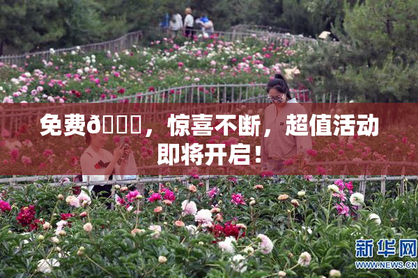 免费🔞，惊喜不断，超值活动即将开启！
