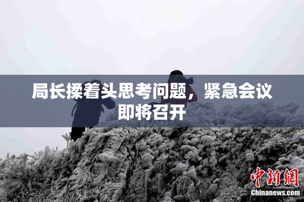 局长揉着头思考问题，紧急会议即将召开