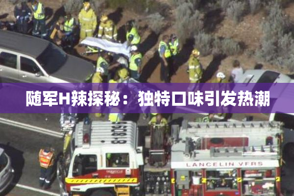 随军H辣探秘：独特口味引发热潮