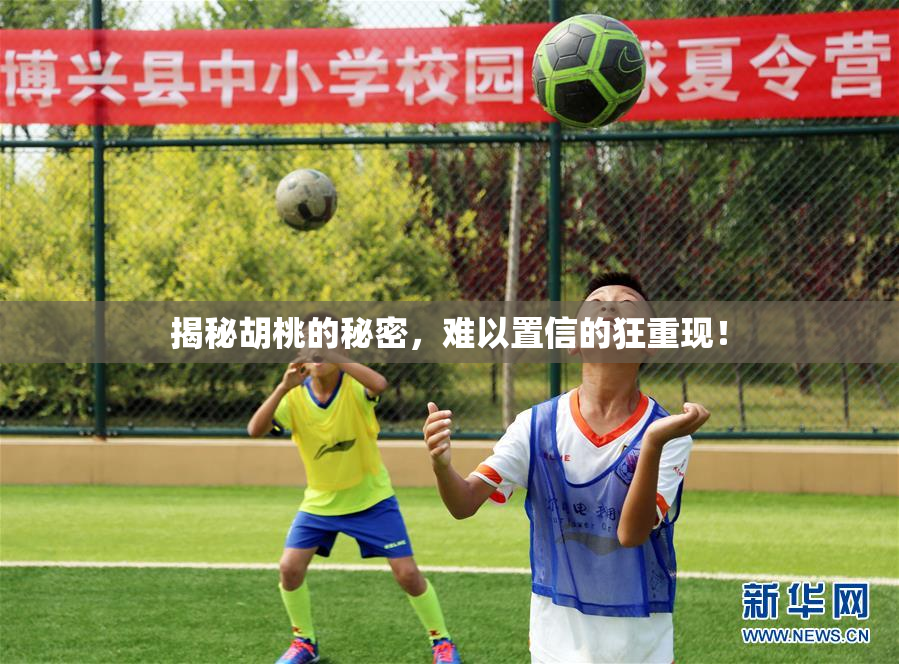 揭秘胡桃的秘密，难以置信的狂重现！