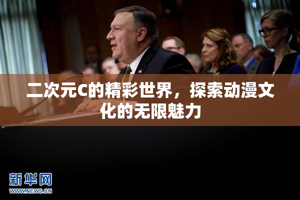 二次元C的精彩世界，探索动漫文化的无限魅力