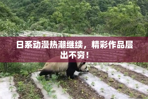日系动漫热潮继续，精彩作品层出不穷！