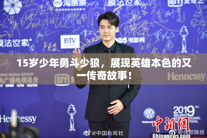 15岁少年勇斗少狼，展现英雄本色的又一传奇故事！