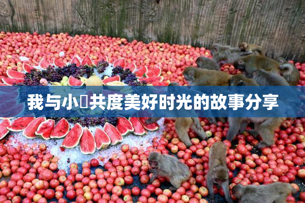 我与小娻共度美好时光的故事分享