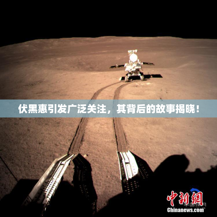 伏黑惠引发广泛关注，其背后的故事揭晓！
