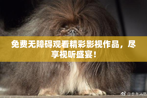 免费无障碍观看精彩影视作品，尽享视听盛宴！