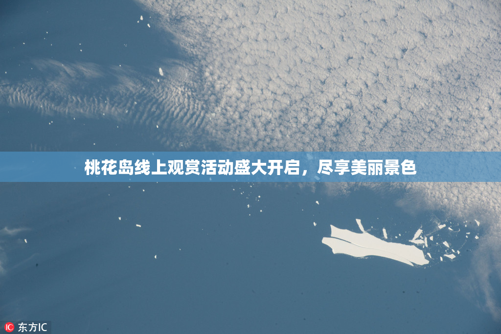 桃花岛线上观赏活动盛大开启，尽享美丽景色