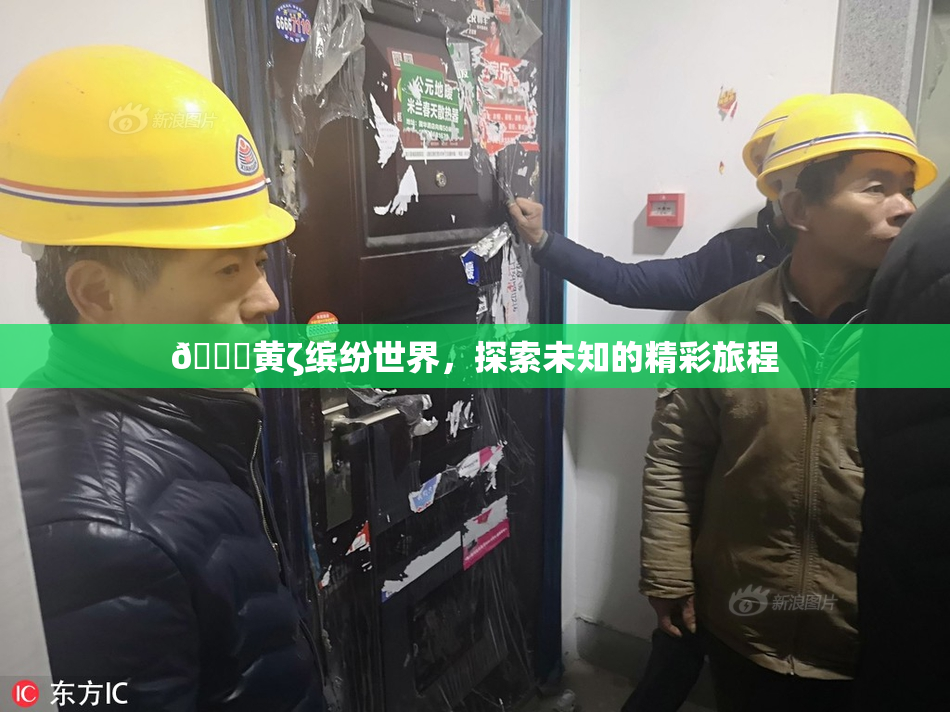 🔞黄ζ缤纷世界，探索未知的精彩旅程