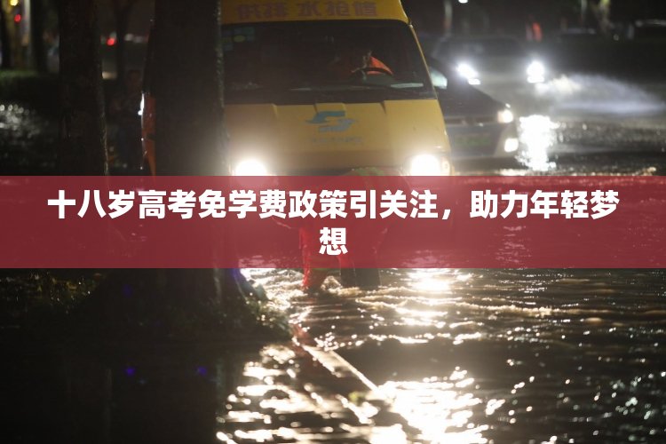十八岁高考免学费政策引关注，助力年轻梦想