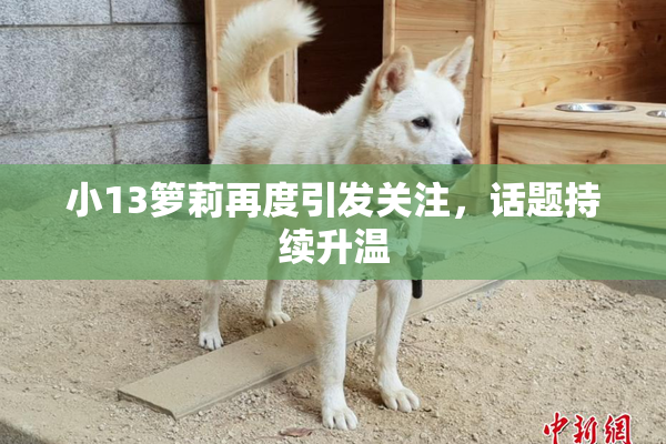 小13箩莉再度引发关注，话题持续升温