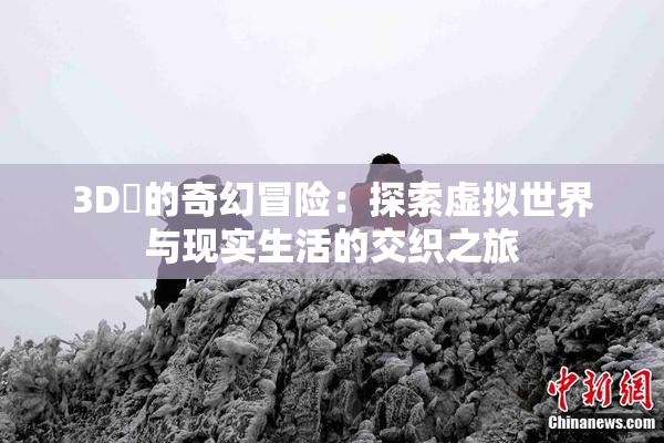 3D姉的奇幻冒险：探索虚拟世界与现实生活的交织之旅