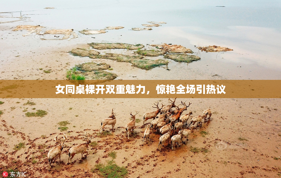 女同桌裸开双重魅力，惊艳全场引热议