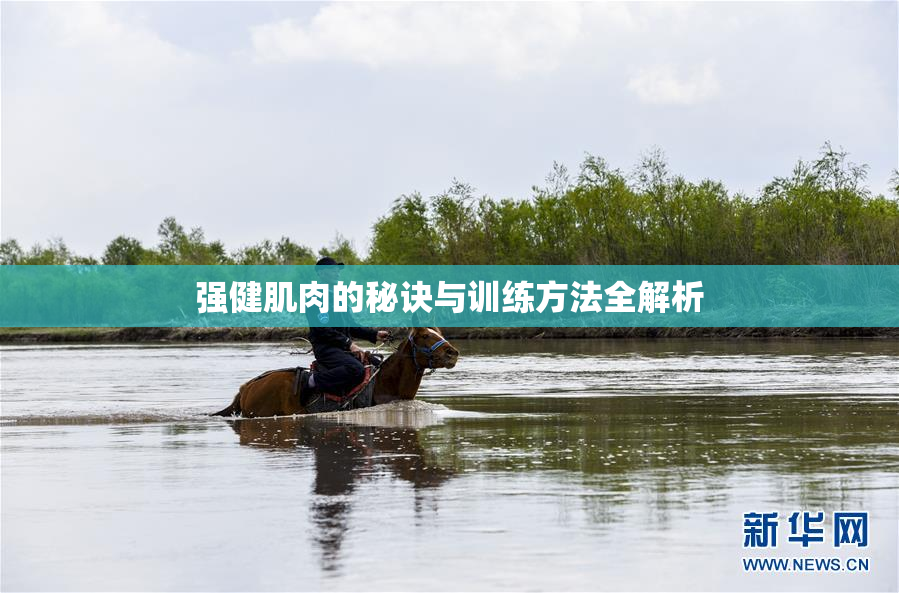 强健肌肉的秘诀与训练方法全解析