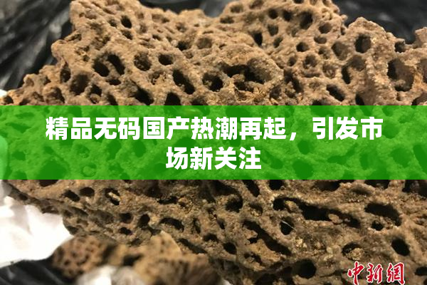 精品无码国产热潮再起，引发市场新关注
