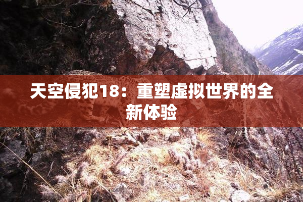 天空侵犯18：重塑虚拟世界的全新体验