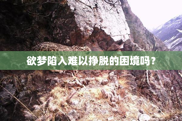 欲梦陷入难以挣脱的困境吗？