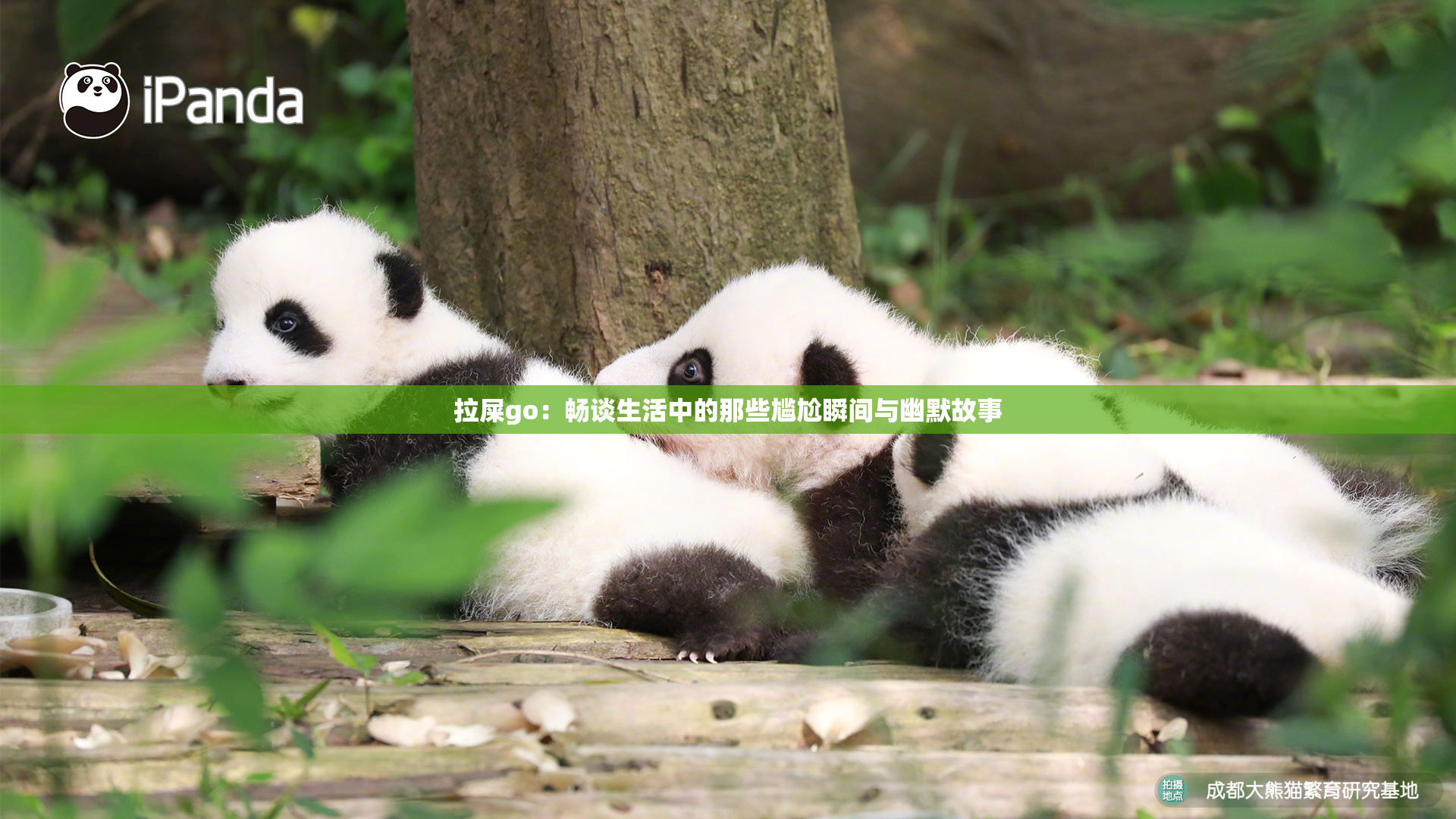拉屎go：畅谈生活中的那些尴尬瞬间与幽默故事