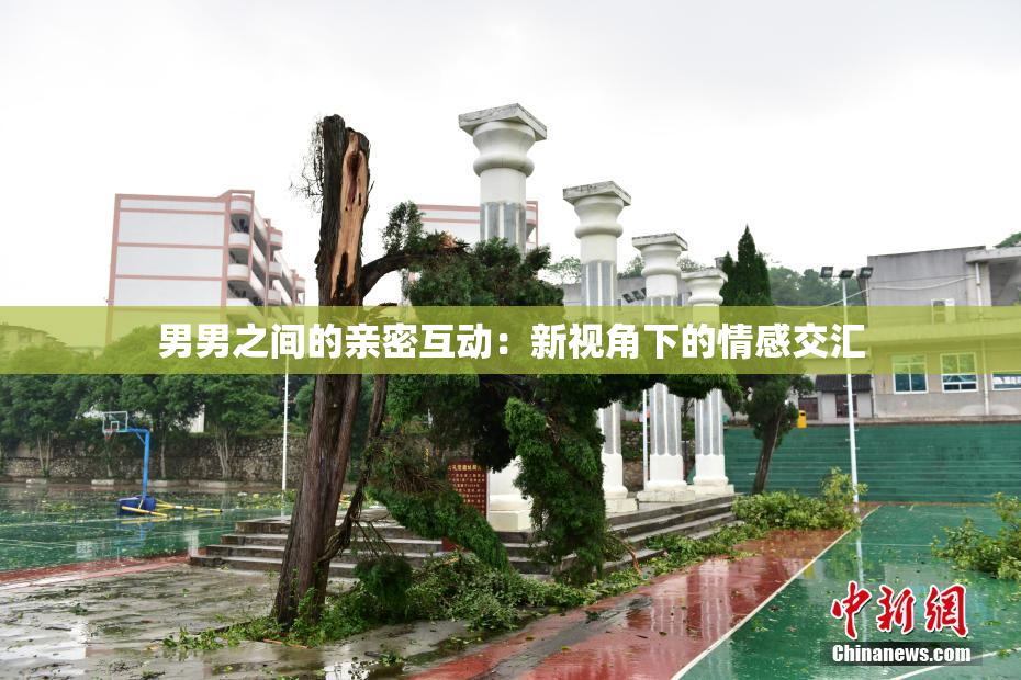 男男之间的亲密互动：新视角下的情感交汇