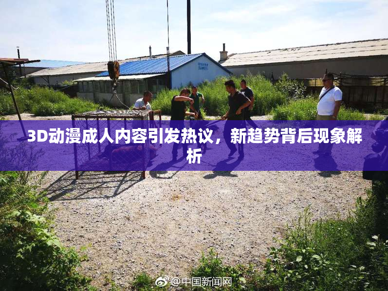 3D动漫成人内容引发热议，新趋势背后现象解析