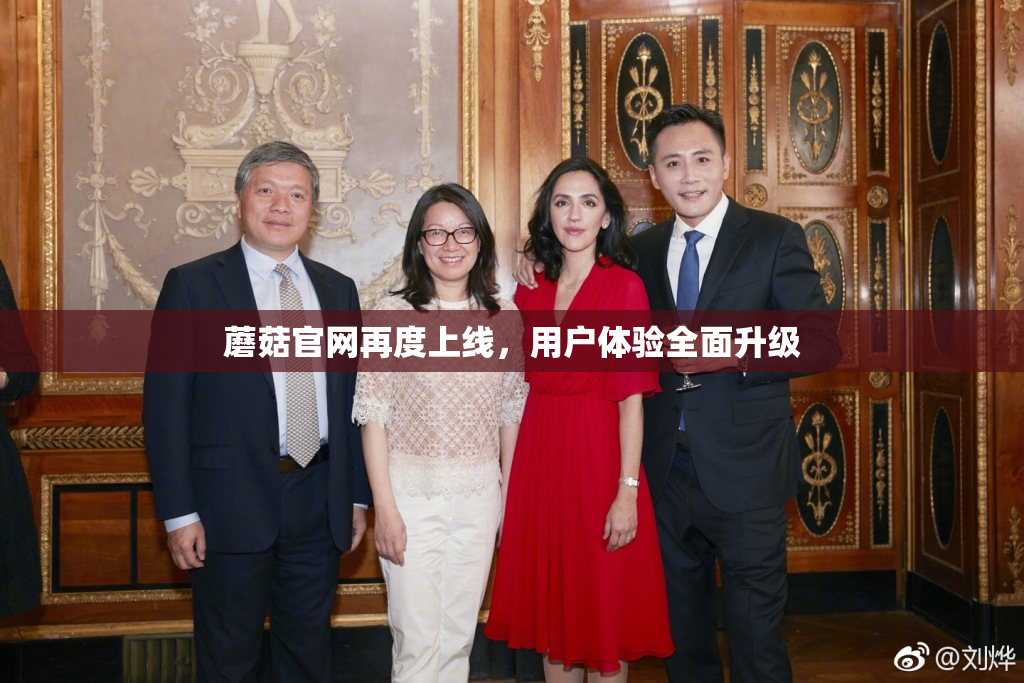 蘑菇官网再度上线，用户体验全面升级