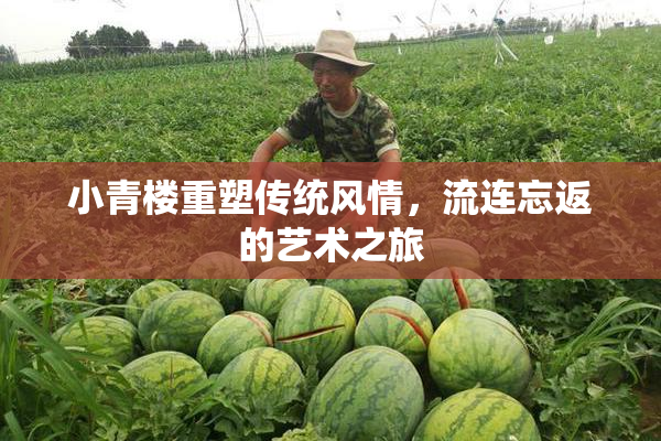 小青楼重塑传统风情，流连忘返的艺术之旅