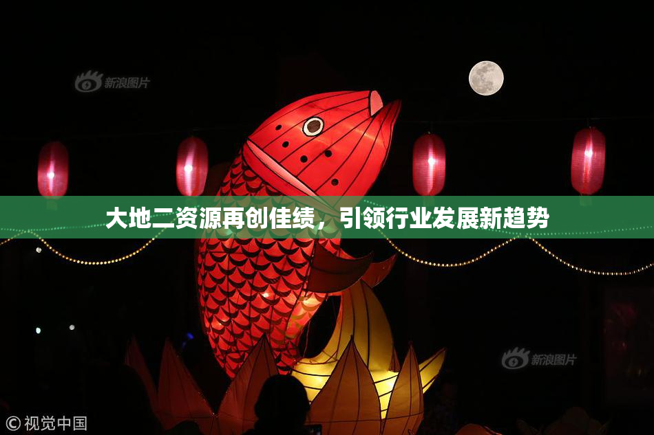 大地二资源再创佳绩，引领行业发展新趋势