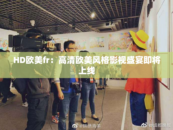 HD欧美fr：高清欧美风格影视盛宴即将上线