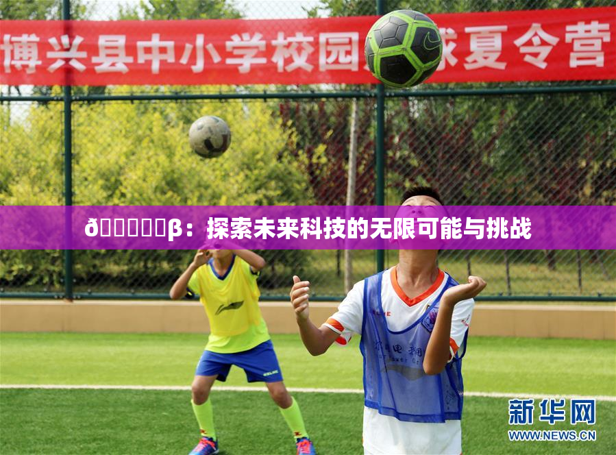 🍆❌‌β：探索未来科技的无限可能与挑战