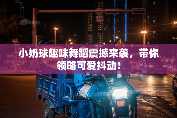 小奶球趣味舞蹈震撼来袭，带你领略可爱抖动！