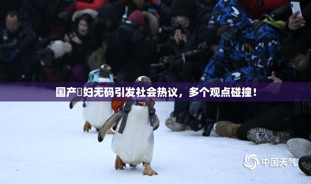 国产婬妇无码引发社会热议，多个观点碰撞！