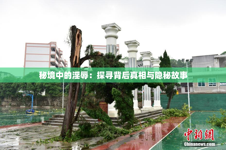 秘境中的淫辱：探寻背后真相与隐秘故事