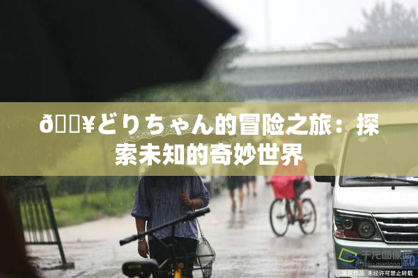 🔥どりちゃん的冒险之旅：探索未知的奇妙世界