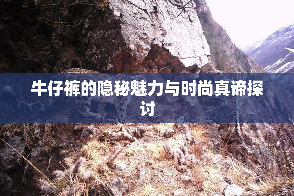 牛仔裤的隐秘魅力与时尚真谛探讨