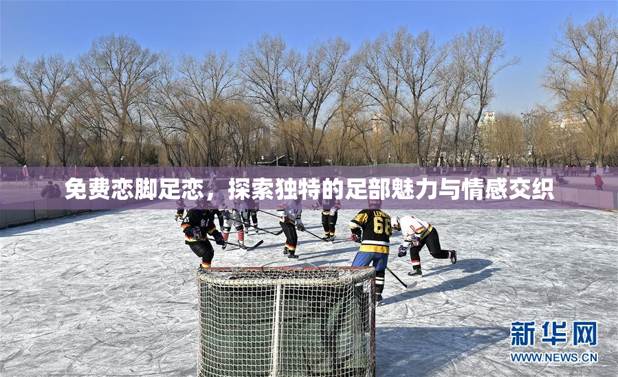 免费恋脚足恋，探索独特的足部魅力与情感交织