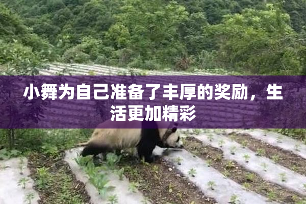 小舞为自己准备了丰厚的奖励，生活更加精彩