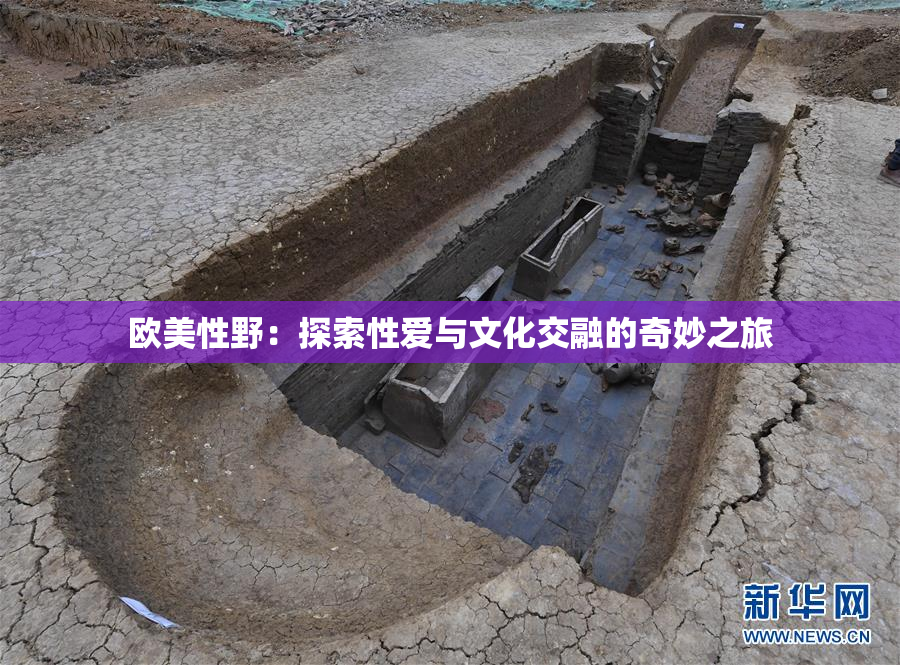 欧美性野：探索性爱与文化交融的奇妙之旅