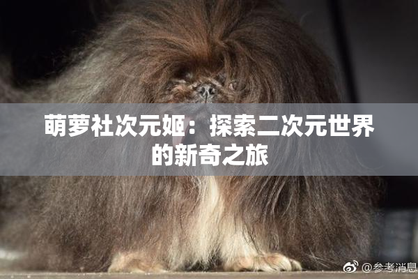 萌萝社次元姬：探索二次元世界的新奇之旅