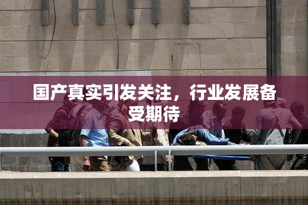 国产真实引发关注，行业发展备受期待