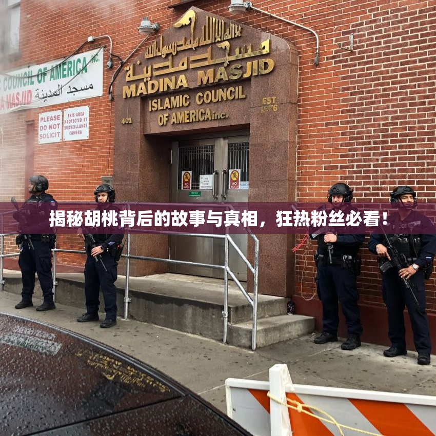 揭秘胡桃背后的故事与真相，狂热粉丝必看！