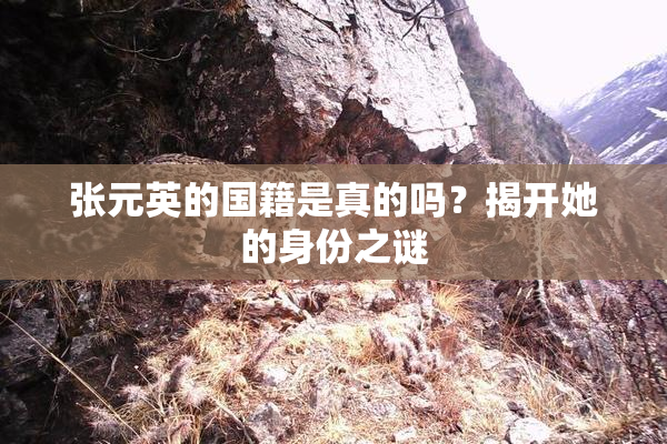 张元英的国籍是真的吗？揭开她的身份之谜
