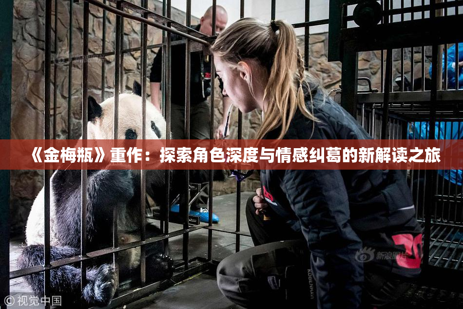《金梅瓶》重作：探索角色深度与情感纠葛的新解读之旅