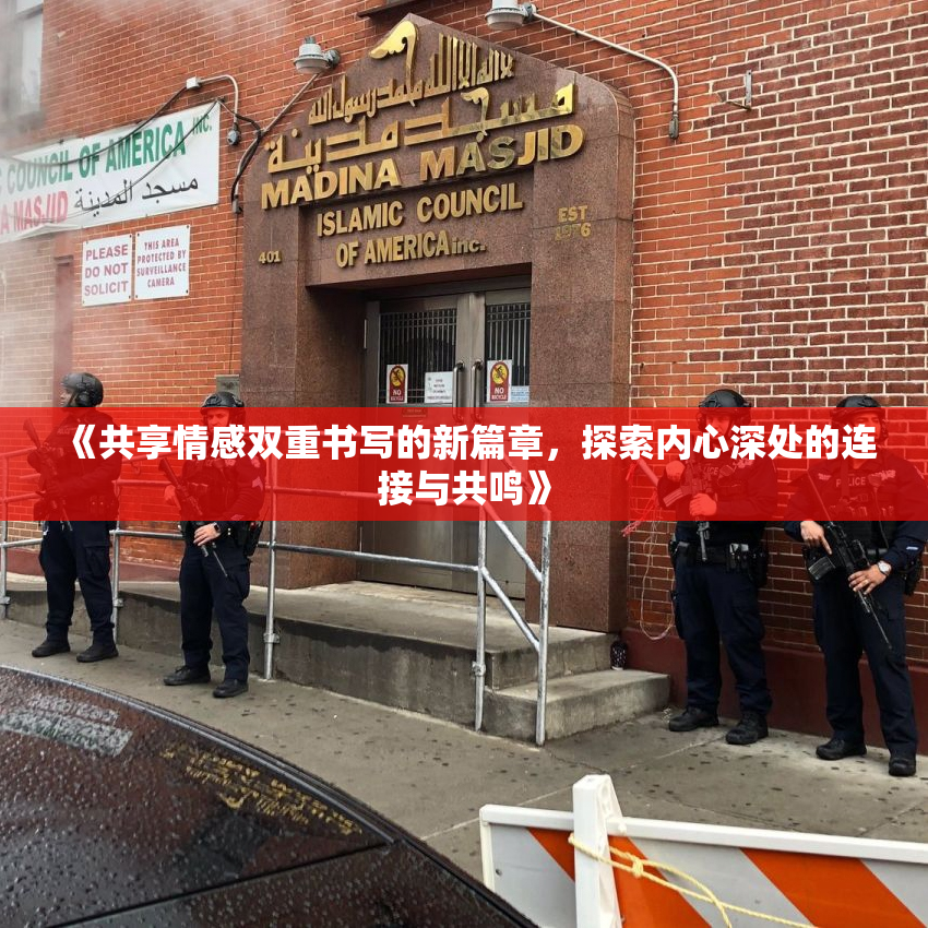 《共享情感双重书写的新篇章，探索内心深处的连接与共鸣》