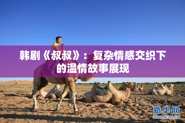 韩剧《叔叔》：复杂情感交织下的温情故事展现