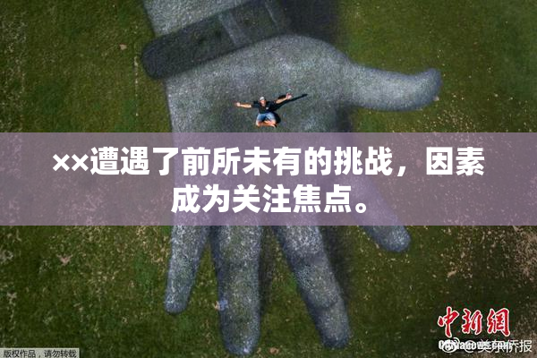 ××遭遇了前所未有的挑战，因素成为关注焦点。