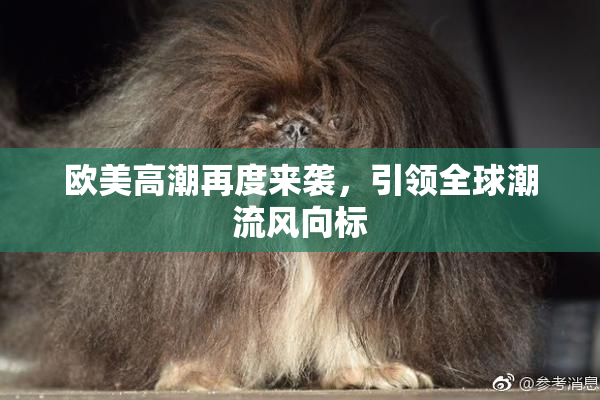 欧美高潮再度来袭，引领全球潮流风向标