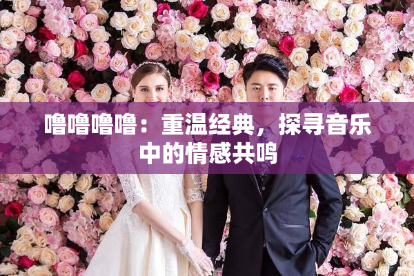 噜噜噜噜：重温经典，探寻音乐中的情感共鸣