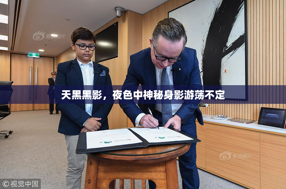 天黑黑影，夜色中神秘身影游荡不定